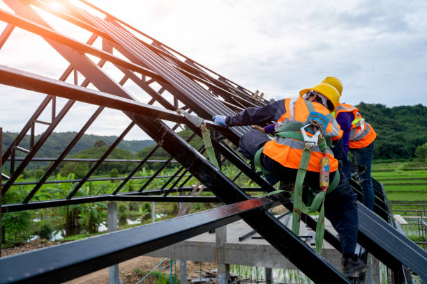Best Affordable Roof Replacement  in Temperance, MI