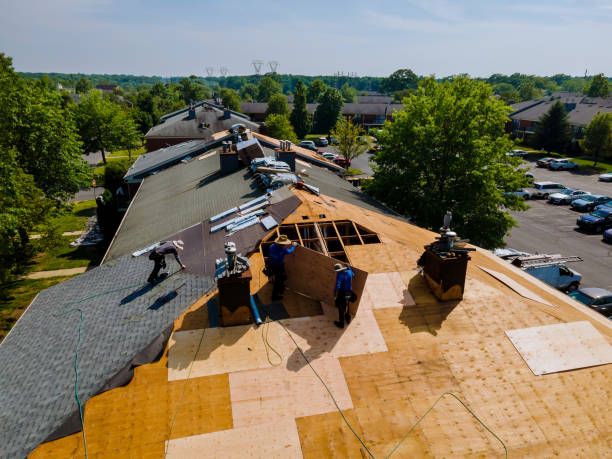 Quick and Trustworthy Emergency Roof Repair Services in Temperance, MI