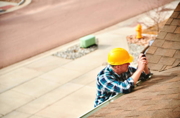 Best Roof Maintenance Services  in Temperance, MI