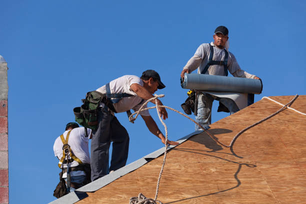 Roof Installation Near Me in Temperance, MI