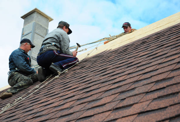 Best Emergency Roof Repair  in Temperance, MI