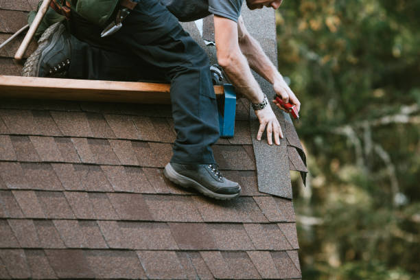 Professional Roofing Contractor in Temperance, MI