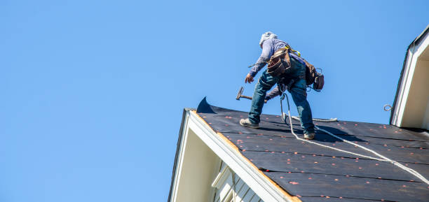 Best Best Roofing Contractors  in Temperance, MI